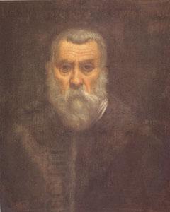 TINTORETTO, Jacopo Self Portrait (mk05) China oil painting art